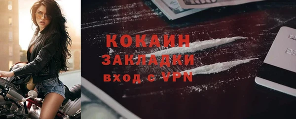 прущие грибы Арсеньев