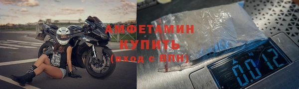 прущие грибы Арсеньев