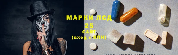 прущие грибы Арсеньев