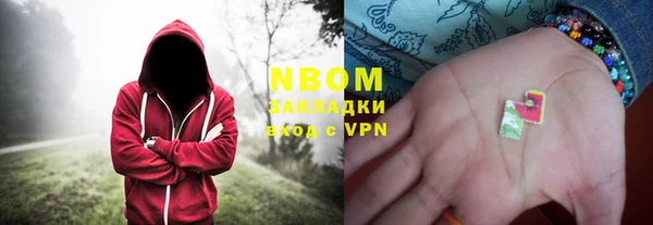 прущие грибы Арсеньев