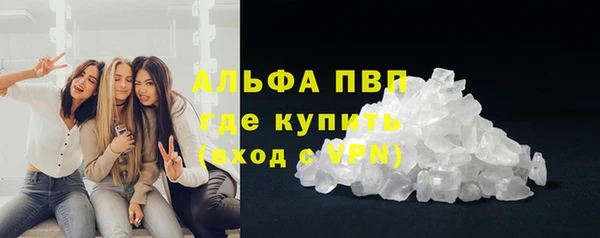 прущие грибы Арсеньев