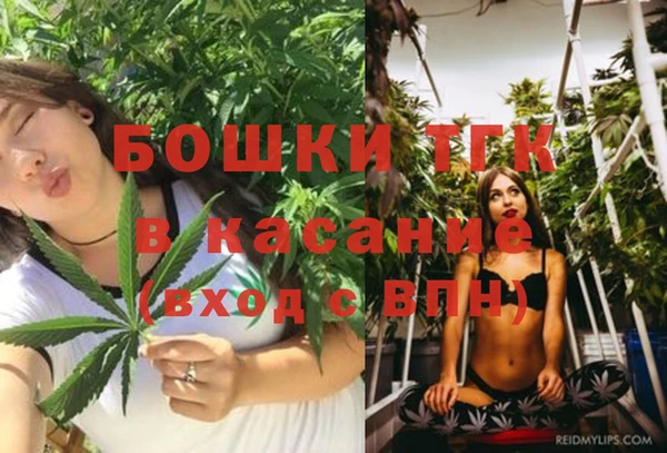 прущие крисы Аркадак