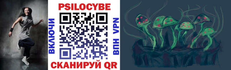 продажа наркотиков Лесной Галлюциногенные грибы Psilocybe