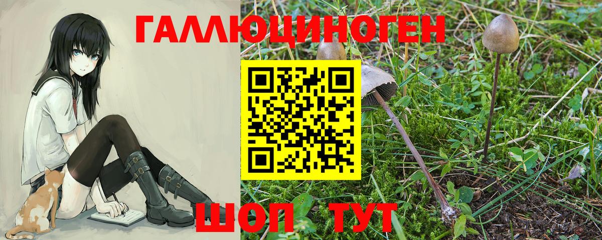 Псилоцибиновые грибы мухоморы  Вход с VPN  Лесной 